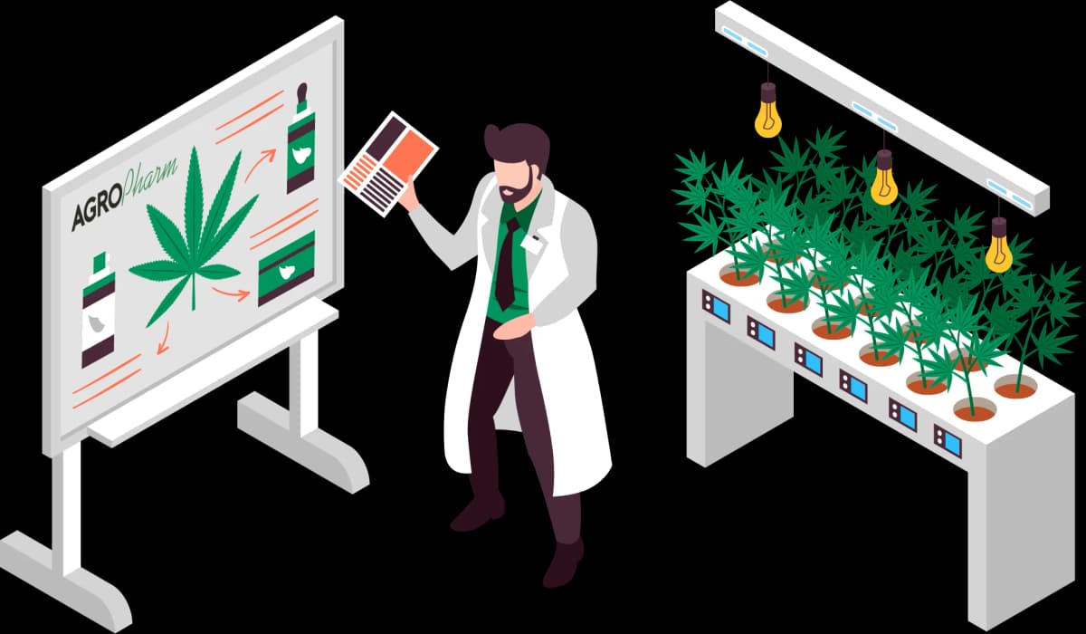 Technische Beratung und Consulting für den Cannabisanbau