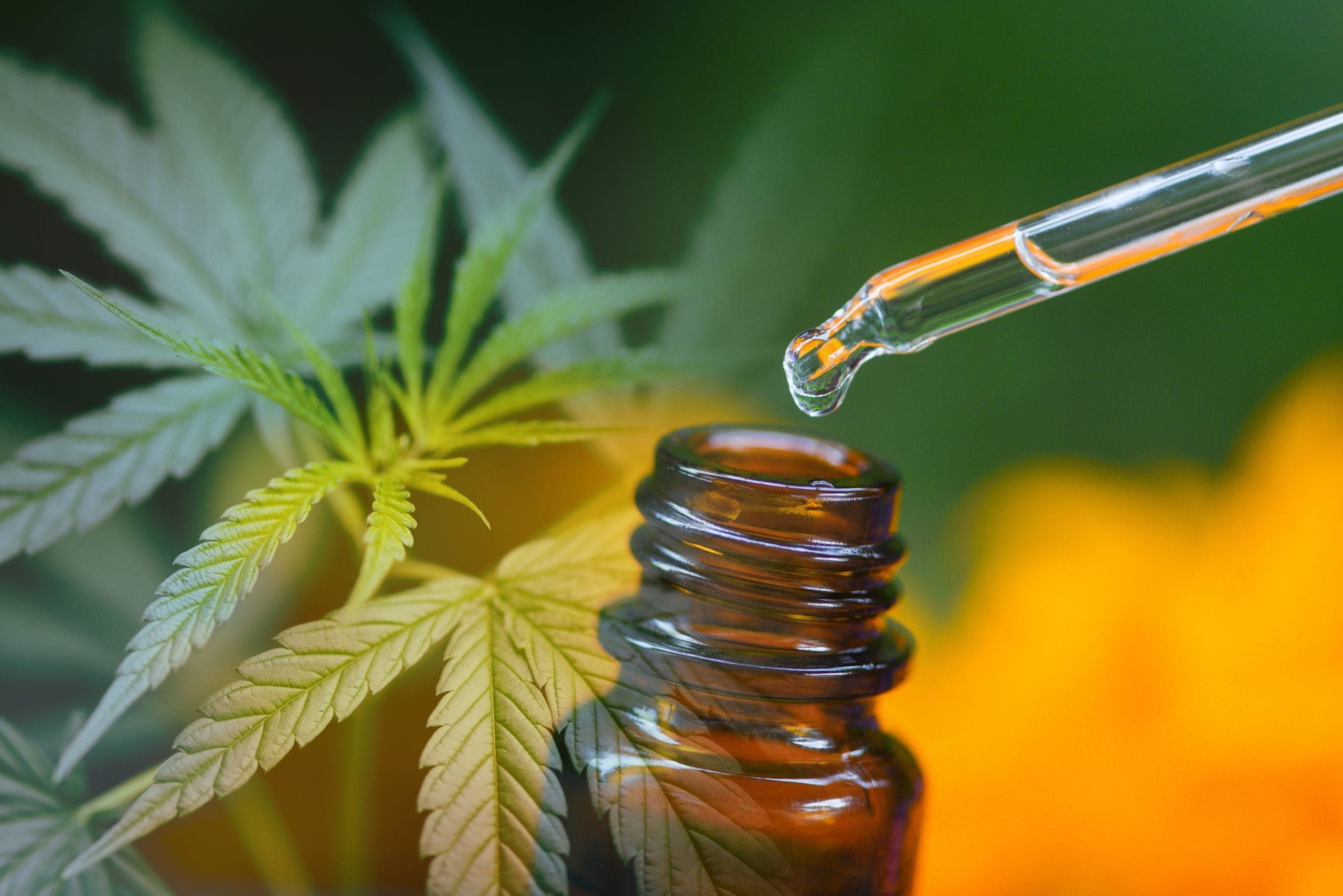 CONSUMO ALTERNATIVO DE CANNABIS MEDICINAL