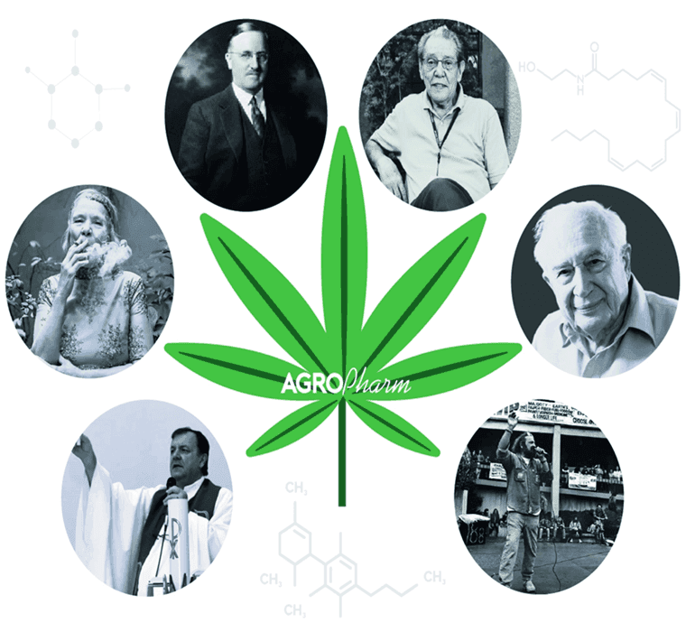 GROSSE PIONIERE DER CANNABISINDUSTRIE