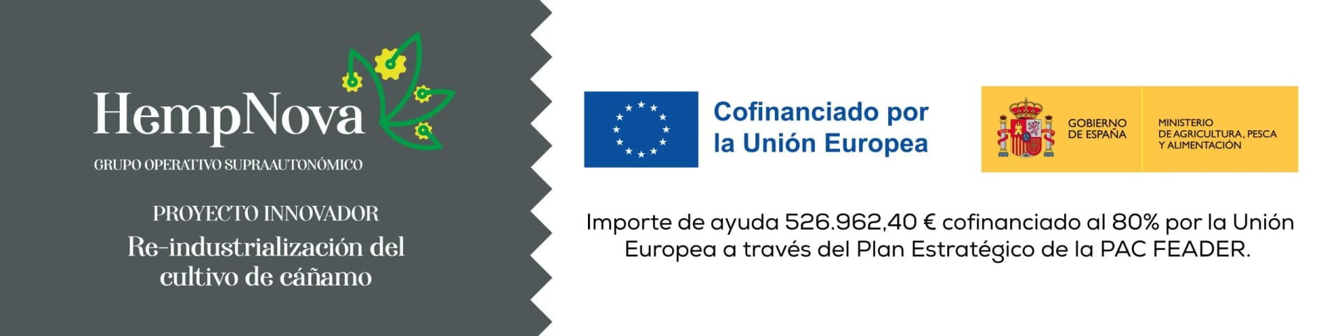 HempNova – Innovatives Projekt: Reindustrialisierung des Hanfanbaus. Kofinanziert von der Europäischen Union (GAP-Strategieplan, ELER)