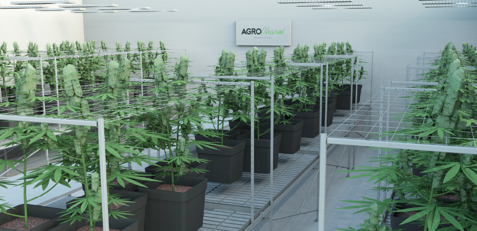 Asesoramiento_Agro_image - copia