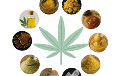 10 CANNABIS CONCENTRATES