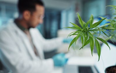 Top Jobs in the Medical Cannabis Industry: Careers and Salaries
